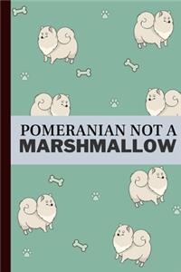 Pomeranian Not A Marshmallow