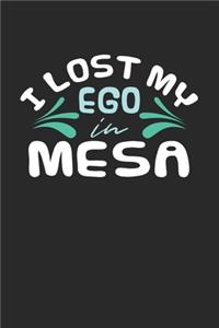I lost my ego in Mesa