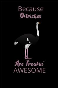 Because Ostriches Are Freakin' Awesome