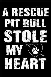 A Rescue Pit bull Stole My Heart
