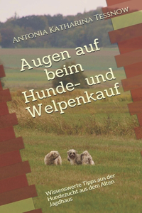 Augen auf beim Hunde- und Welpenkauf