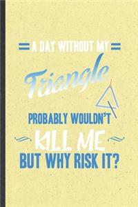 A Day Without My Triangle Probably Wouldn't Kill Me but Why Risk It
