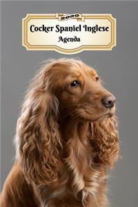 2020 Cocker Spaniel Inglese Agenda