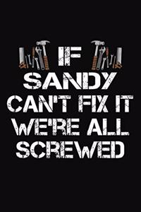 If Sandy Can't Fix It We're All Screwed