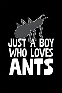 Just A Boy Who Loves Ants