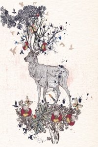 Sketch book