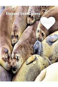 Elephant Seal Colony on Cover collegeruledlinepaper Composition Book