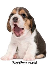 Beagle Puppy Journal