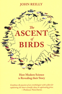 Ascent of Birds