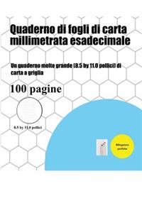 Quaderno di fogli di carta millimetrata esadecimale