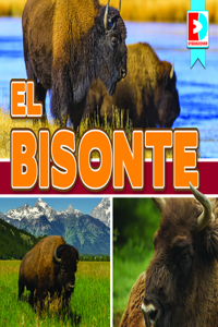 Bisonte (Bison)