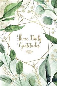 Three Daily Gratitudes