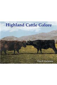 Highland Cattle Galore