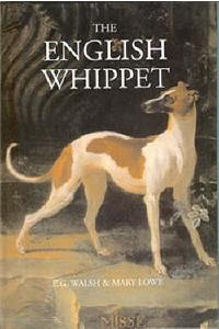 The English Whippet