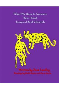 Leopard and Cheetah
