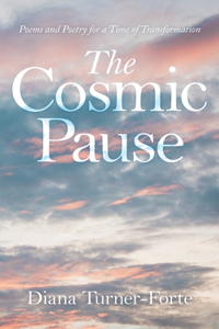 Cosmic Pause