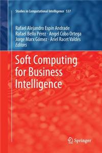 Soft Computing for Business Intelligence