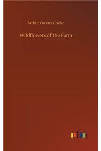 Wildflowers of the Farm
