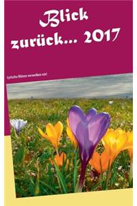 Blick zurück ... 2017