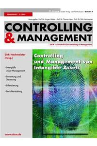 Controlling Und Management Von Intangible Assets