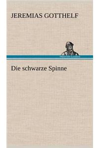 Schwarze Spinne