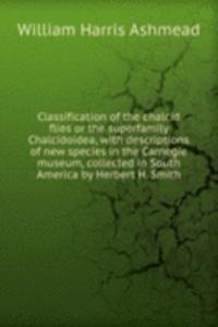 Classification of the chalcid flies or the superfamily Chalcidoidea