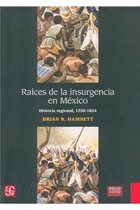 Raices de la Insurgencia en Mexico