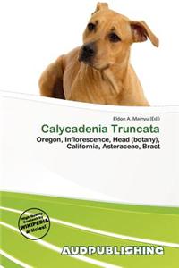 Calycadenia Truncata