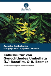 Kalluskultur von Gynochthodes Umbellata (L.) Razafim. & B. Bremer