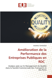 Amélioration de la Performance des Entreprises Publiques en RDC