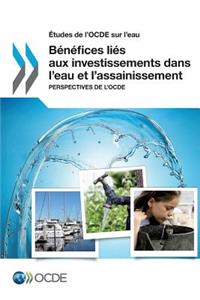 Etudes de L'Ocde Sur L'Eau Benefices Lies Aux Investissements Dans L'Eau Et L'Assainissement