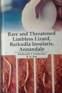 Rare and Threatened Limbless Lizard, Barkudia Insularis, Annandale