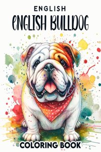 English Bulldog Coloring book