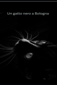 Un gatto nero a Bologna