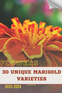 30 Unique Marigold Varieties