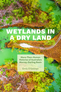 Wetlands in a Dry Land