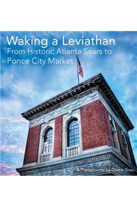 Waking a Leviathan