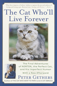 Cat Who'll Live Forever