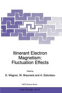 Itinerant Electron Magnetism: Fluctuation Effects