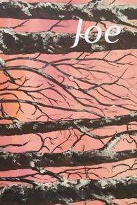 Joe
