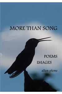 More Than Song