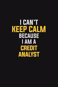 I Can't Keep Calm Because I Am A Credit Analyst