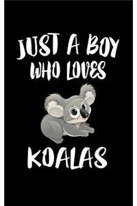 Just A Boy Who Loves Koalas