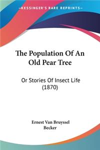 Population Of An Old Pear Tree