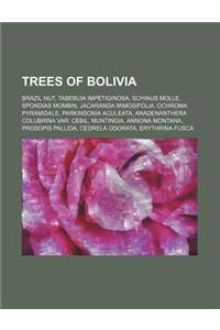 Trees of Bolivia