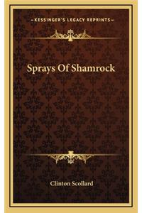 Sprays of Shamrock