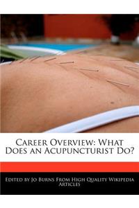 Career Overview