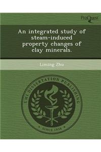 An Integrated Study of Steam-Induced Property Changes of Clay Minerals