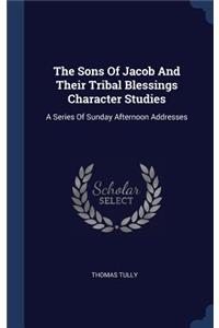 The Sons Of Jacob And Their Tribal Blessings Character Studies