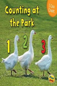 Counting at the Park
